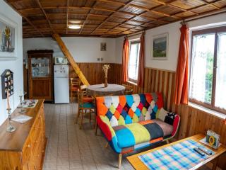 holiday home in Bohemia in the Czech Republic - Svinařov - 9