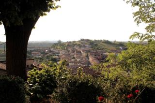 La Culla Tra I Vigneti - 9