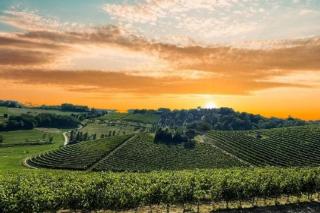 La Culla Tra I Vigneti - 7