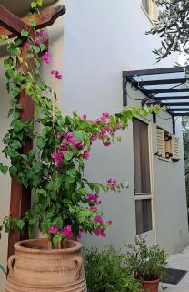 Mavrogenis Farm Chania Crete - Plataniás - 9