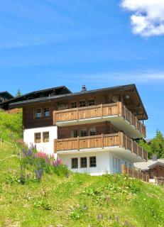 Chalet Sirius Dachwohnung - Bettmeralp - 2