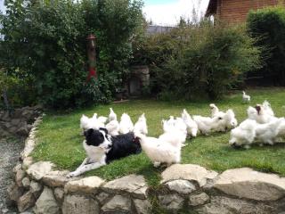 Las Baitas - San Carlos de Bariloche - 7