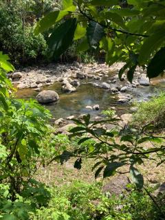 Glamping Uvita River - Uvita - 5
