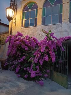 Corte Averaldo - San Felice del Benaco - 9