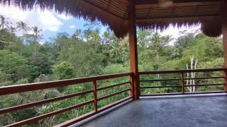 Bali Jungle Taksu - Tampaksiring - 5