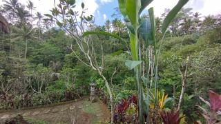 Bali Jungle Taksu - Tampaksiring - 9
