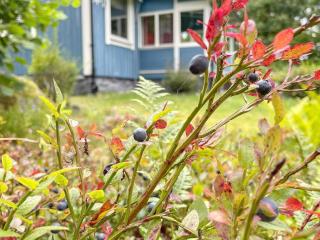 4 star holiday home in KARLSHAMN-By Traum - 1