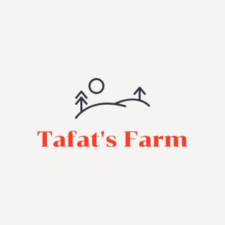 Tafat's Haven Lodge - 8