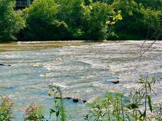 Riverside Relaxer w/Hot Tub+Fire Pit +Wifi & view - 6