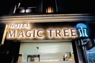 Hotel Magic Tree Karol Bagh Metro Station New Delhi - 3