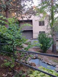 DAH BOROVA - BANJA TOPILO - 8