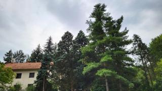 DAH BOROVA - BANJA TOPILO - Banja Topilo - 7
