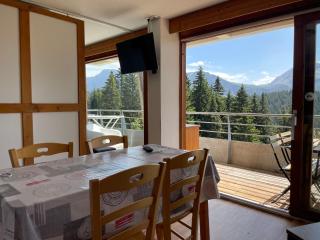 Appartement 2 chambres vue exceptionnelle - Chamrousse - 8