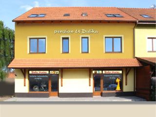 Penzion U Dulíka - Veselí nad Moravou - 0