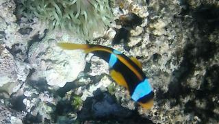 Scandic Resort Apartments - 3