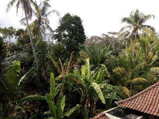 Manada Guesthouae - Ubud - 7