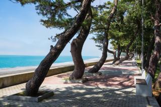 Weekender guesthouse 3 - Koboeleti - 4