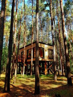 Tree Houses Olszanka - Puszcza Mariańska - 5