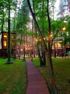 Tree Houses Olszanka - Puszcza Mariańska - 4