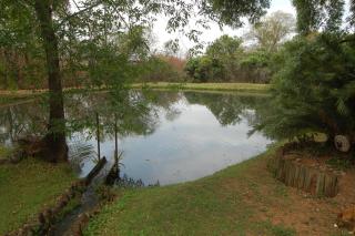 Nita's Air Bed & Breakfast & self catering - 3
