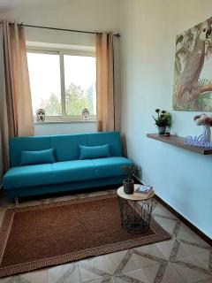 La casetta degli ulivi - 3