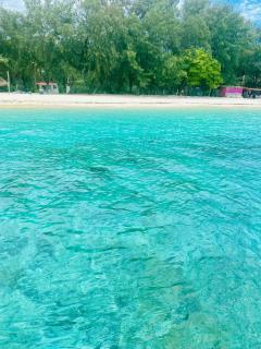 NEW CORALs - Gili Trawangan - 1
