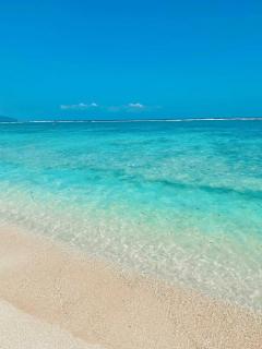 NEW CORALs - Gili Trawangan - 2