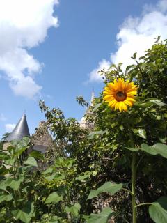 BnB La Néo Bretonne - 6