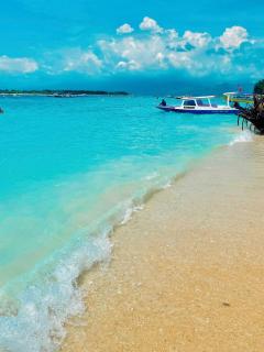 NEW CORALs - Gili Trawangan - 3