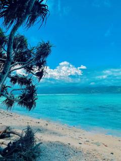 NEW CORALs - Gili Trawangan - 4