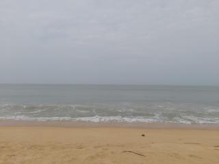 Oceangreen cottage - Kannur - 6