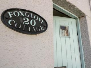 Foxglove Cottage - Christchurch - 8