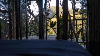 Ella nature nest - 6