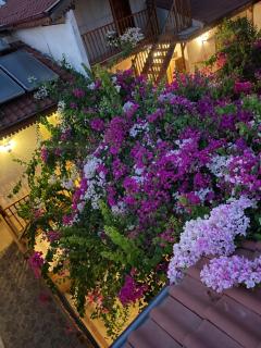 Hotel Konak Su - Dalyan - 3