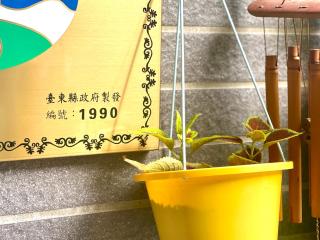 給我拍拍寵物友善行館 - Taitung - 4