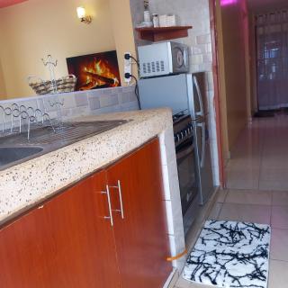 Hood homes 1 bedroom, roysambu - Nairobi - 1