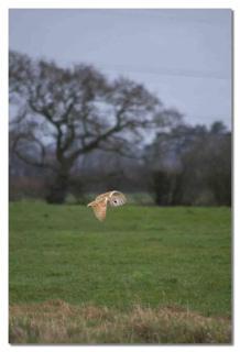 Newton Hall Farm cottage, hot tub garden views Nr Lytham Ribby - 1