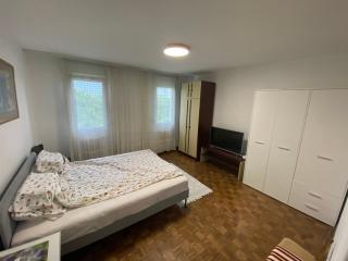 Novi Beograd Dr.Agostina Neta - Novi Beograd - 5