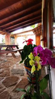 Don Polo casaboutique - Valle de Bravo - 4