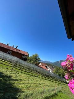 Haus Huber, Waltraud Huber - Marquartstein - 8
