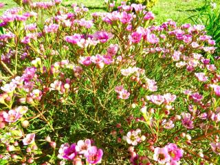 Whistlewood Guesthouse Walmer, Port Eizabeth - 3