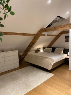 Eine schöne Wohnung an der Birs - Basel - 0