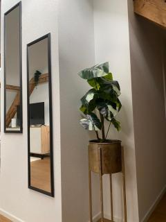 Eine schöne Wohnung an der Birs - Basel - 1