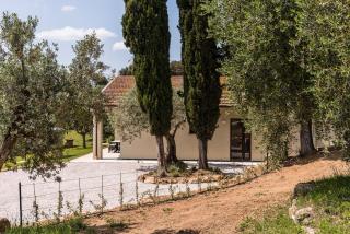 Appartamento La Mignola - Campiglia Marittima - 3