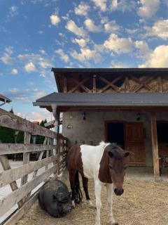 IKONIJA guest house - 5