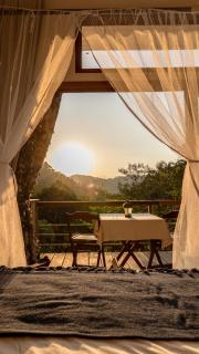 La Luciole Ecolodge - Paraty - 3