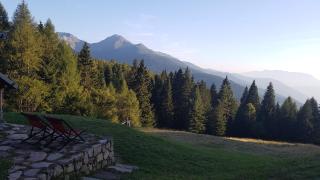 Alpenchalet Waldl - la Lepre - Palù del Fersina - 4