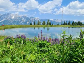 Bright Side of Life - Schladming am Sonnenhang - Schladming - 6