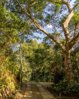 La Luciole Ecolodge - Paraty - 9