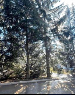 Apartman AS - Zlatibor - 4
